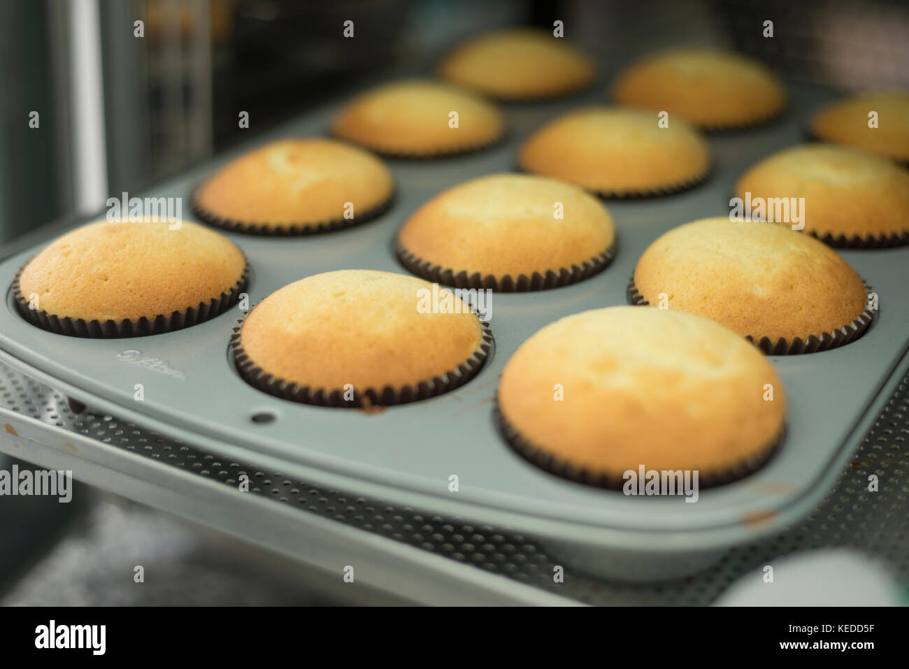 Cupcakes coming out of the oven Stock Photo
