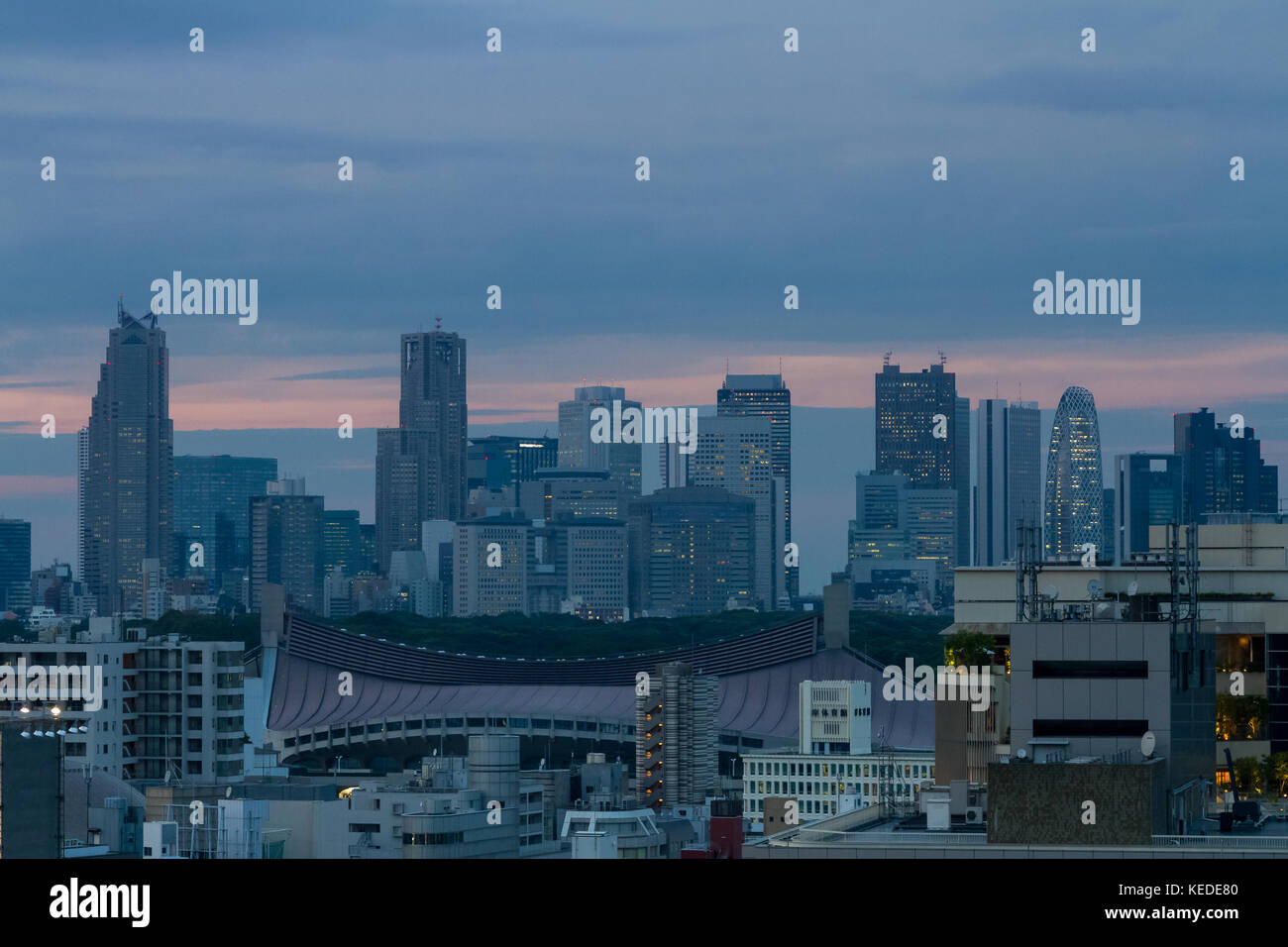 Tokyo city skyline with the Shinjuku skyscrapers and Yoyogi Gymnastic stadium in the foreground, Tokyo, Japan Stock Photo