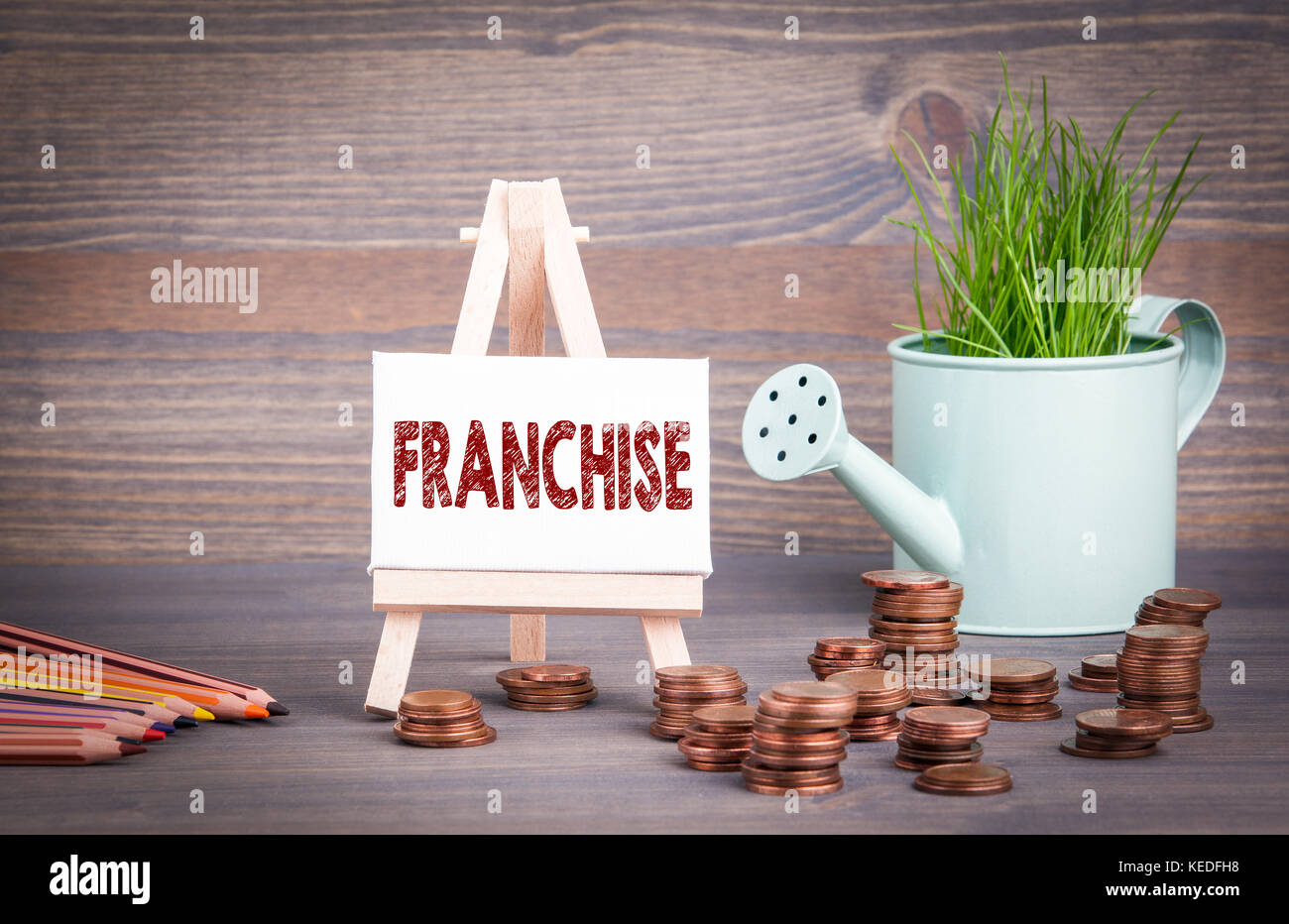 franchise, business concept. miniature watering pot with fresh green