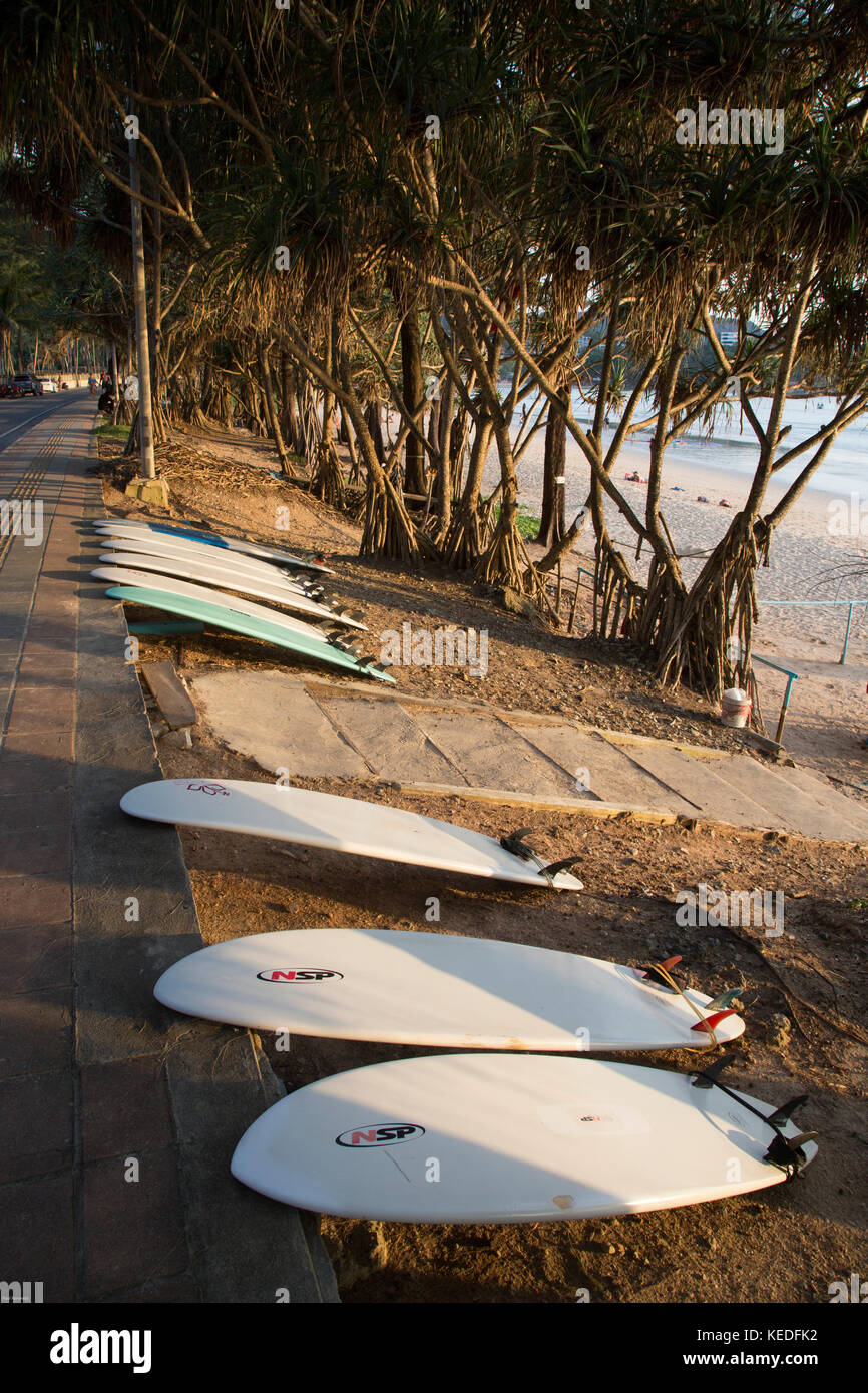 Surfboards for hire at Kata Beach, Phuket Island Stock Photo Alamy