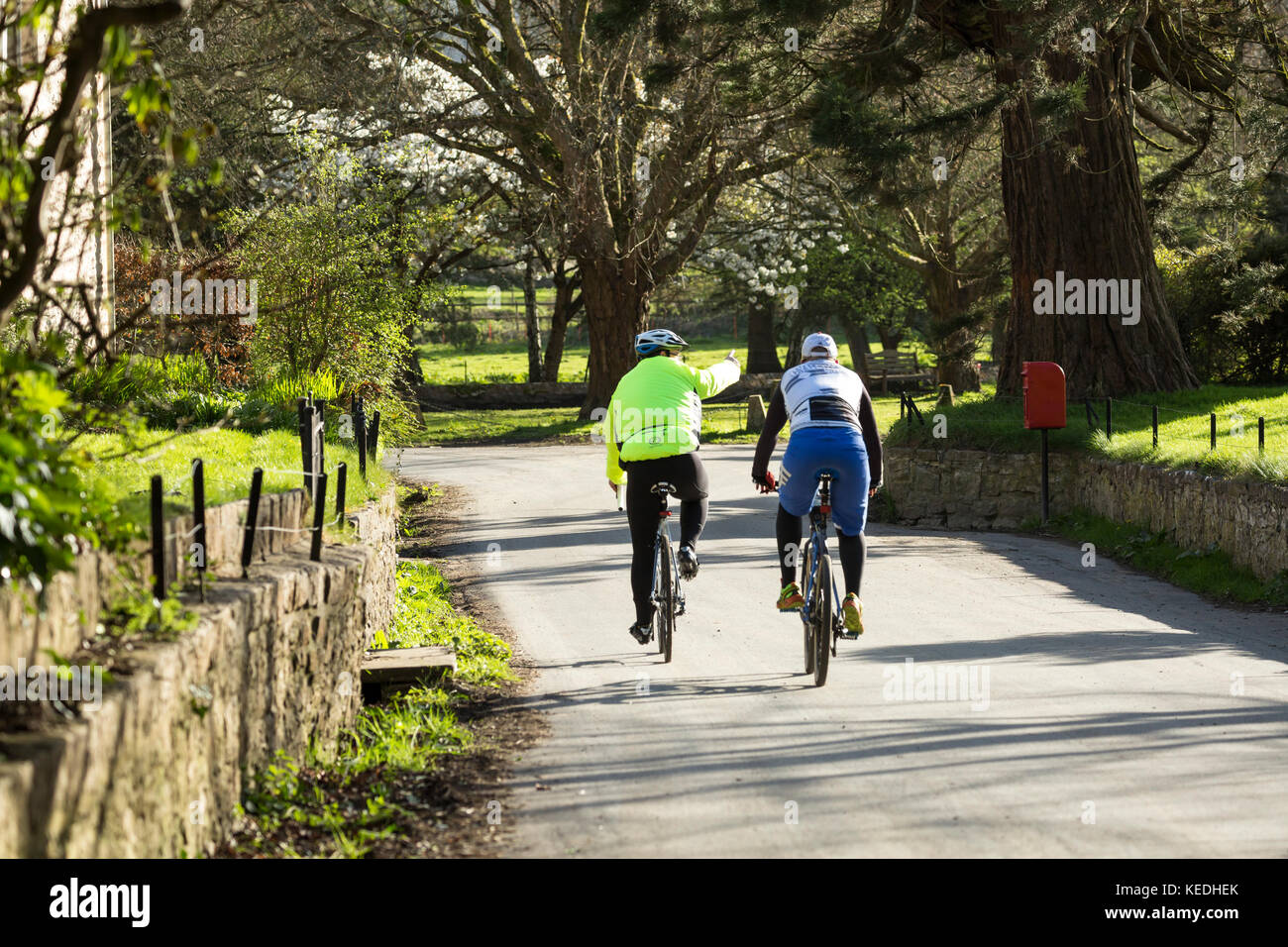 cyclists on country lane ride in sunshine Stock Photo