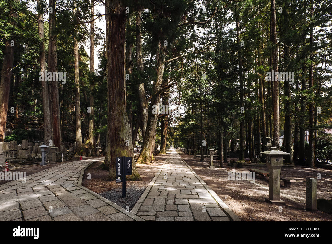 Koyasan, the Japan's most sacred mountains Stock Photo Alamy