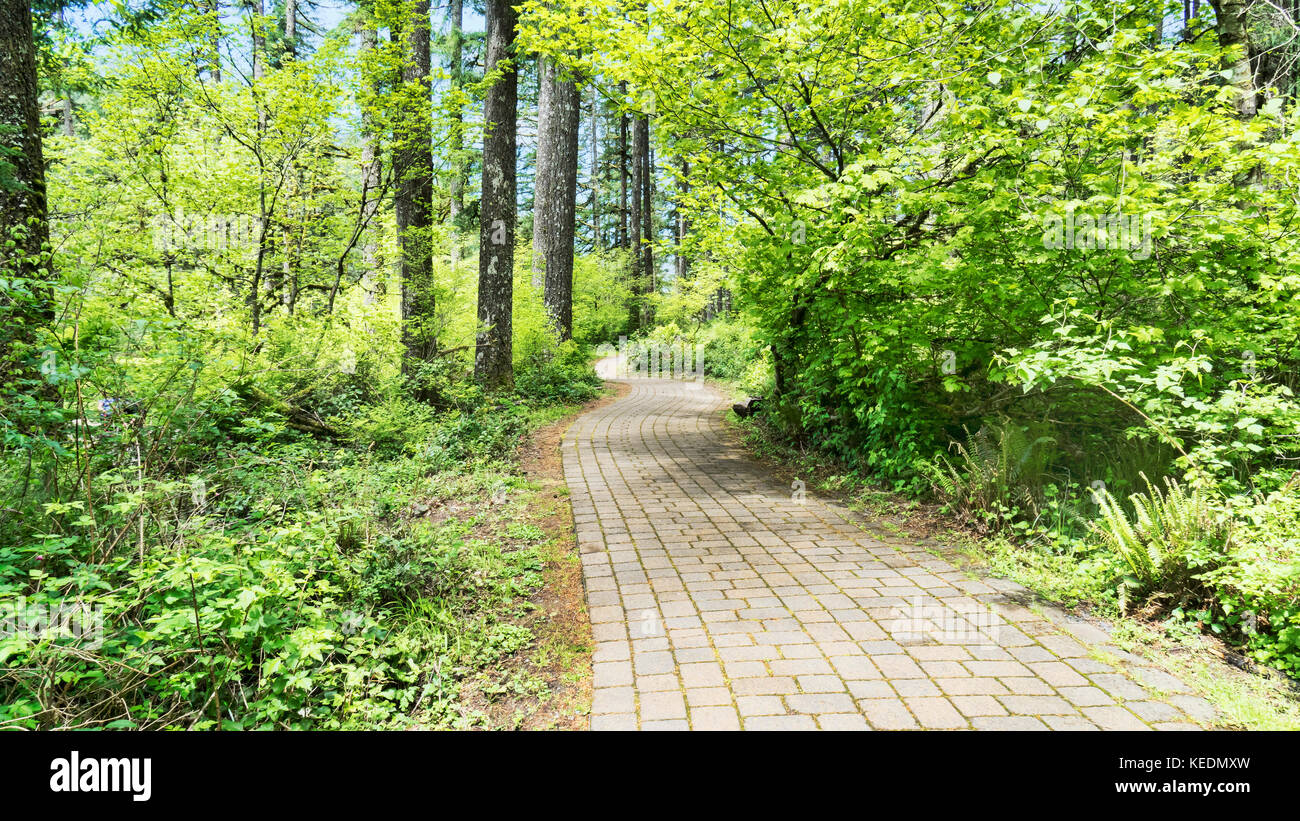 Rim Trail in Silver Falls State Park, South Falls area, near Silverton Oregon.  Crown Jewell of Oregon State Parks.  Flagstone trail. Stock Photo