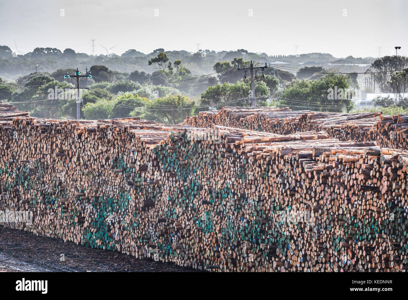 Lumber yard hires stock photography and images Alamy