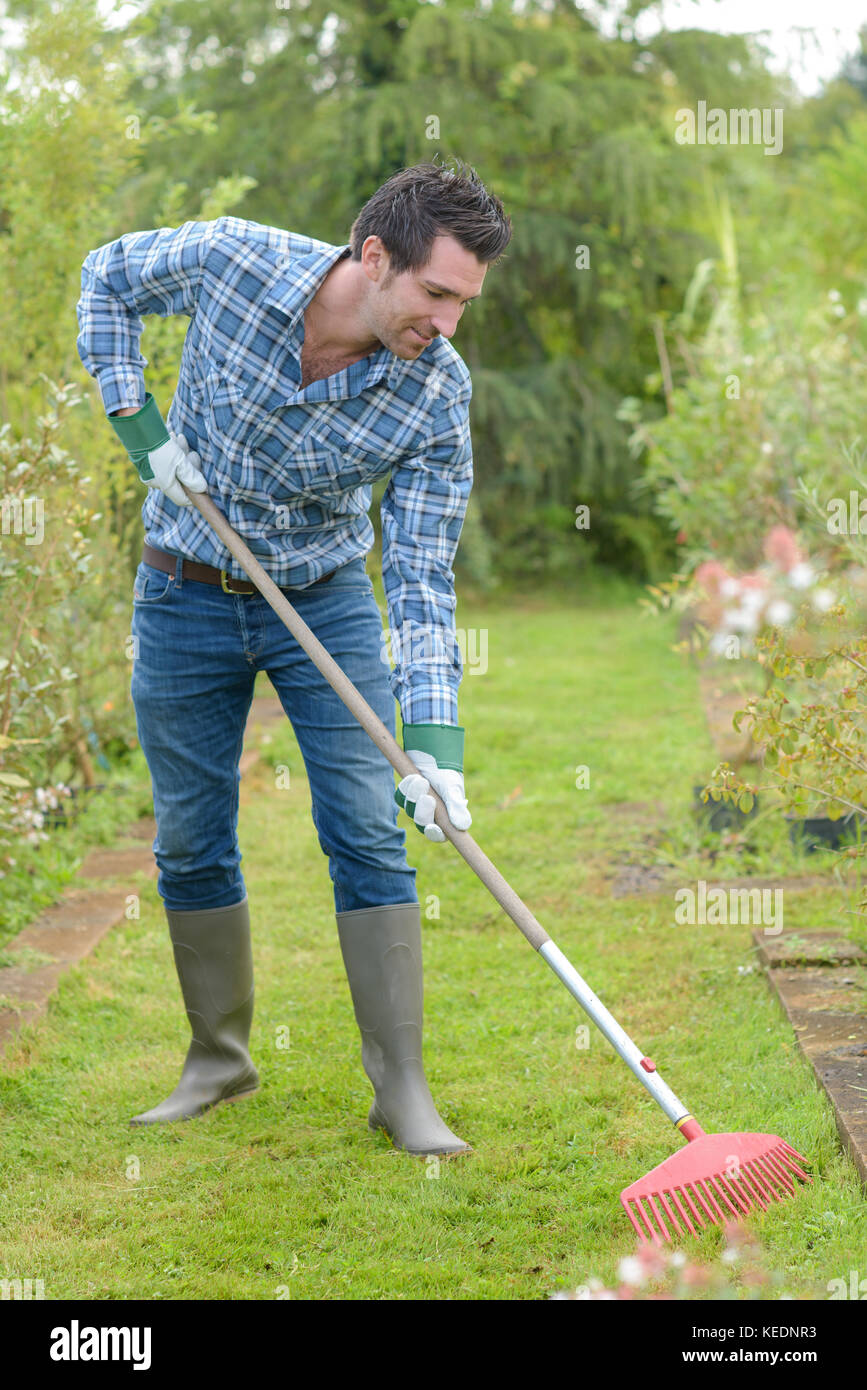 Man raking over grass Stock Photo Alamy