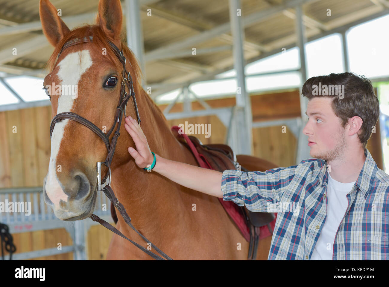 Trainer stables stable hires stock photography and images Alamy