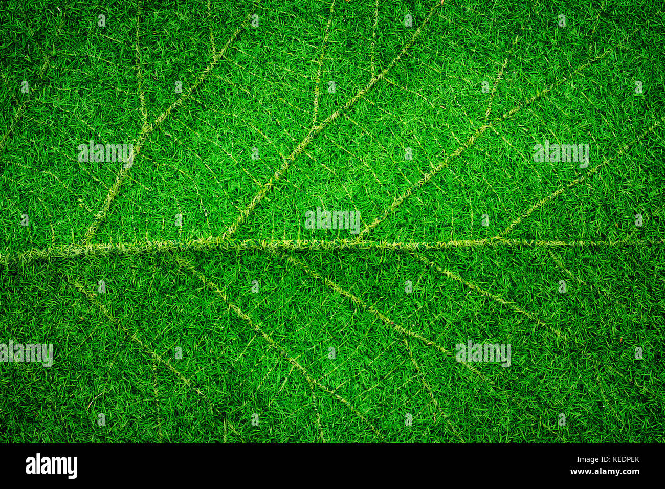 Abstract green leaf texture hi-res stock photography and images - Alamy