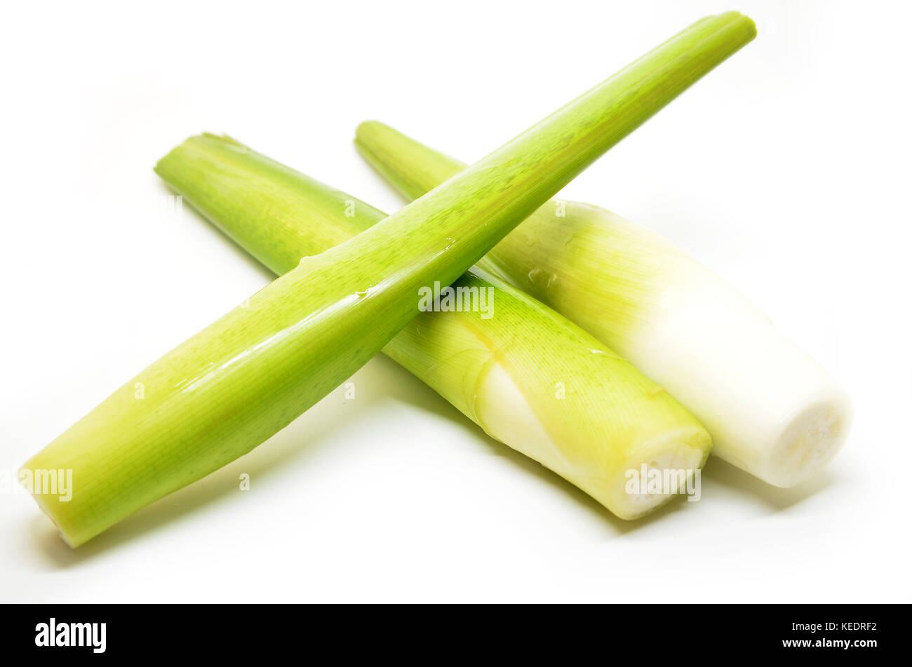 Fresh water bamboo shoot isolated on white background Stock Photo