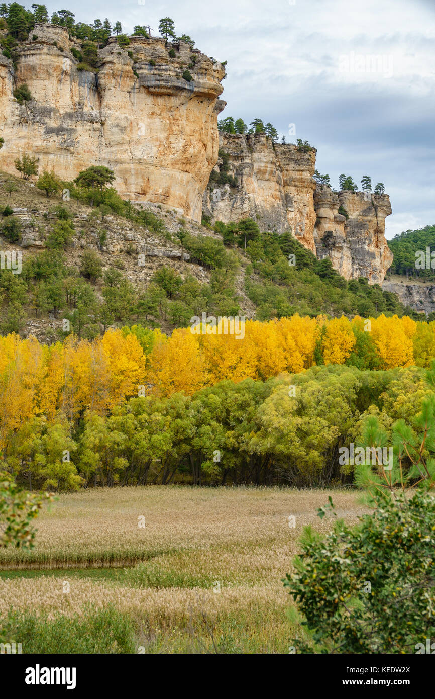 Vertical rocks hi-res stock photography and images - Alamy
