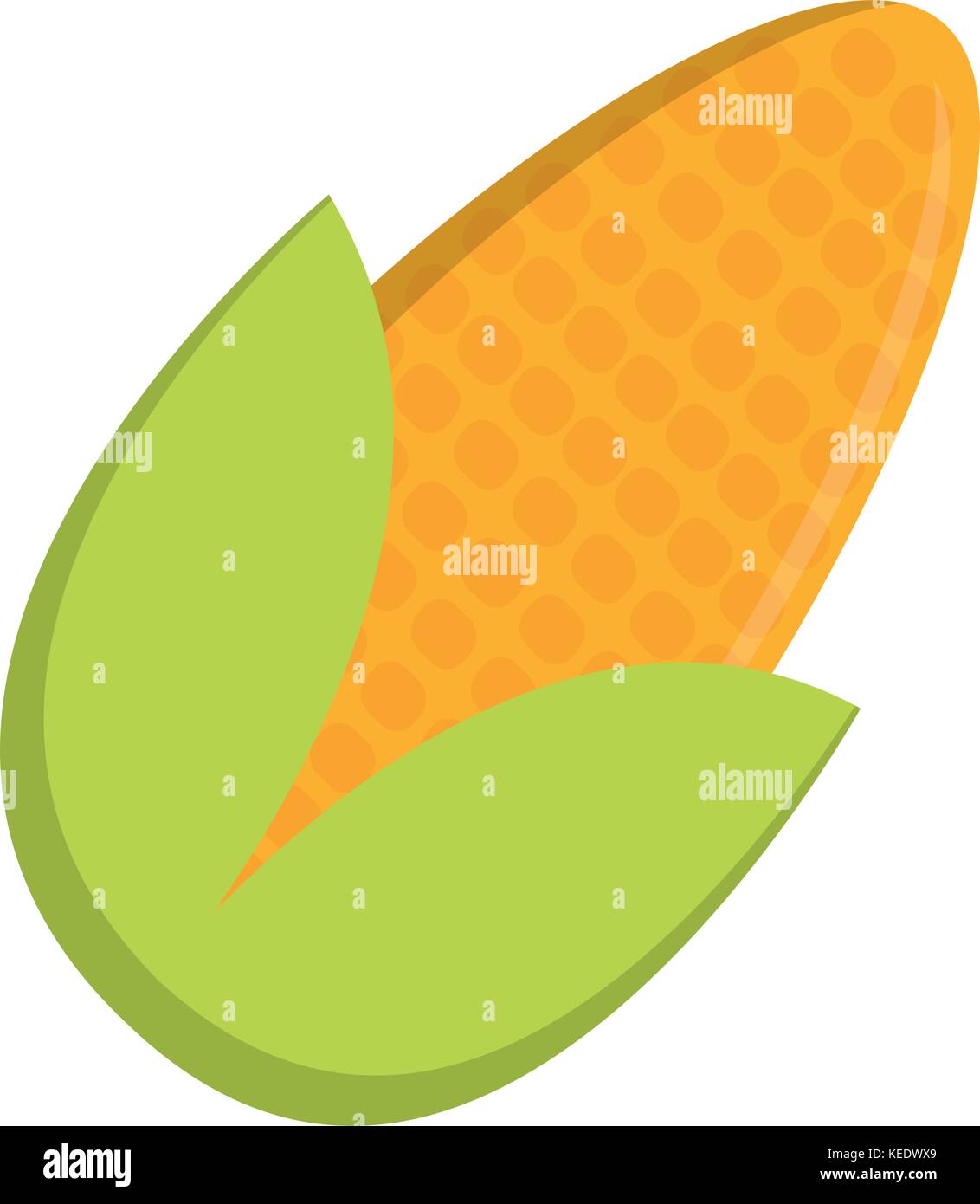 corn vegetable icon Stock Vector Image & Art - Alamy