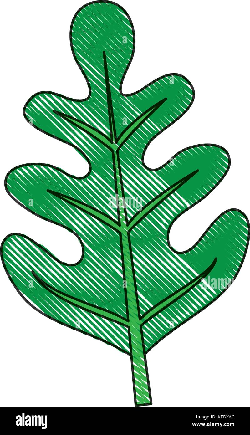 leaf icon image Stock Vector Image & Art - Alamy