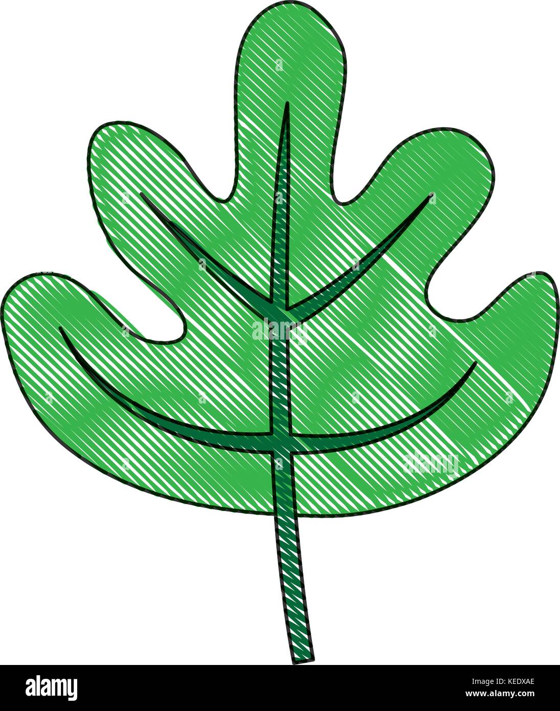 leaf icon image Stock Vector Image & Art - Alamy