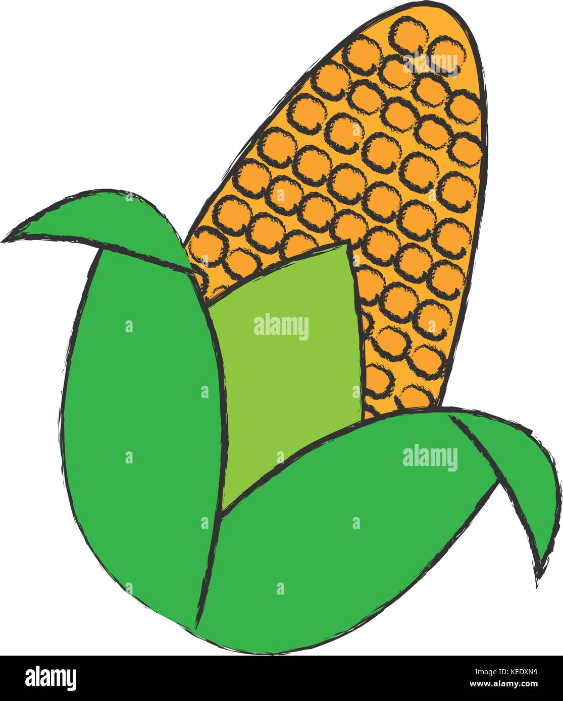 corn vegetable icon Stock Vector Image & Art - Alamy