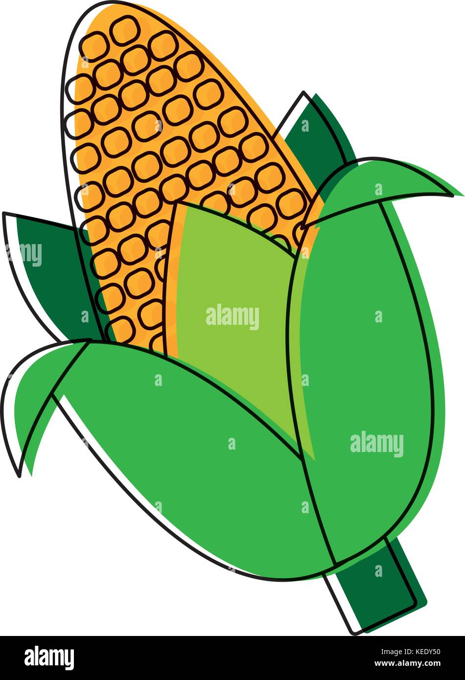 corn vegetable icon Stock Vector Image & Art - Alamy