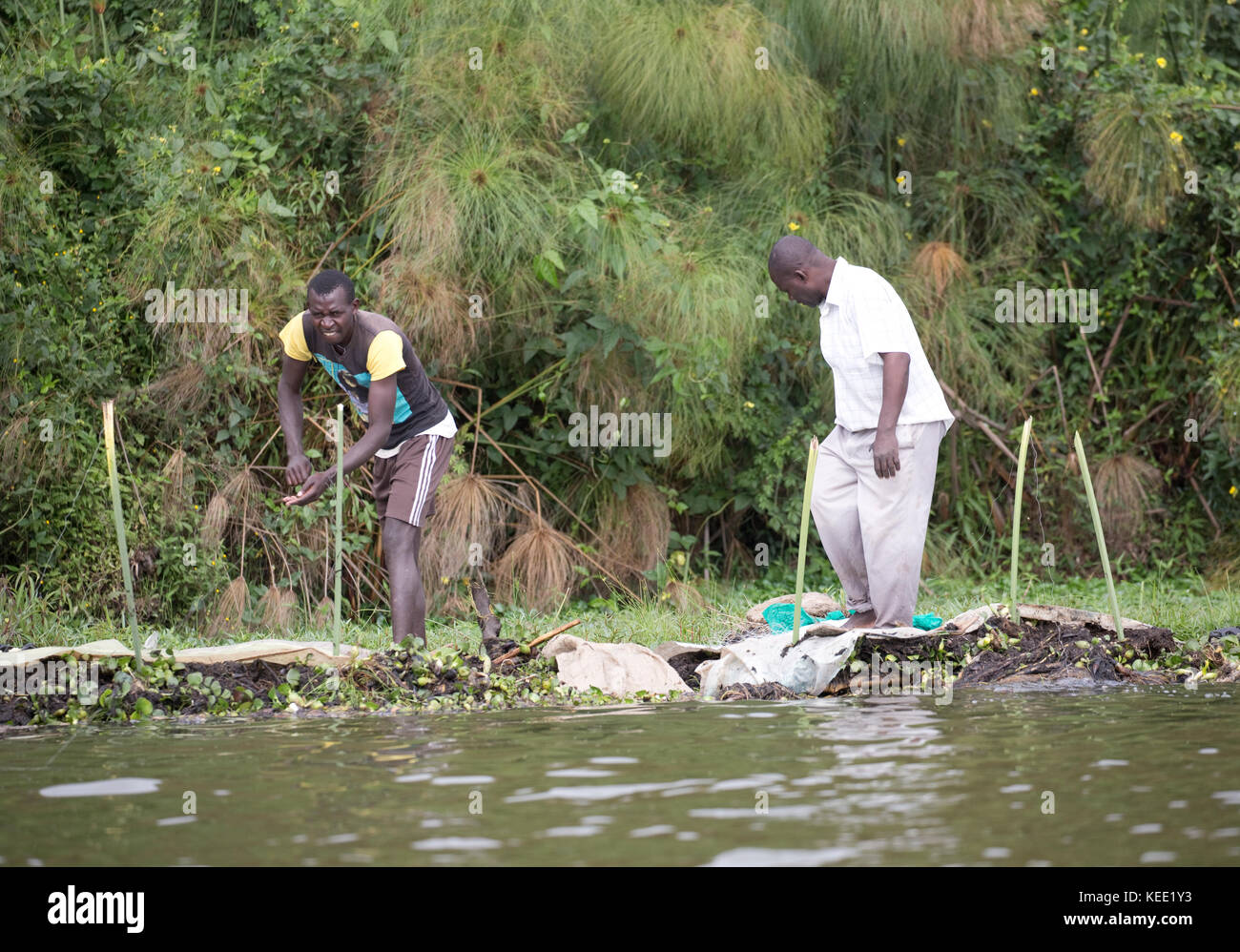 Local fishermen with plastic sheets fishing Lake Naivasha Kenya Stock Photo
