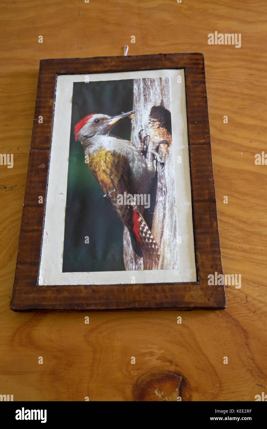 Picture frame made of corrugated cardboard Kenya Stock Photo Alamy