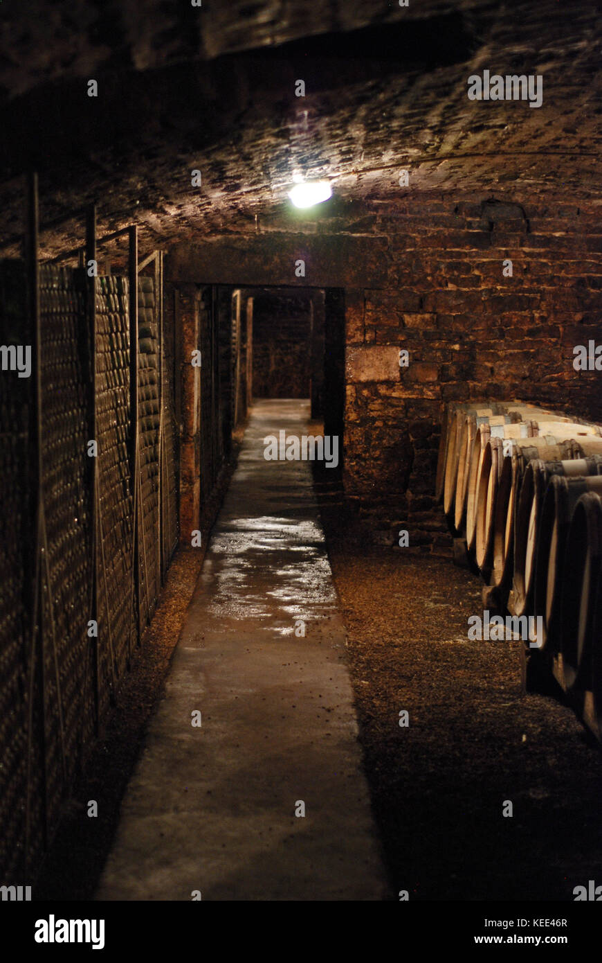 Meursault Barrels High Resolution Stock Photography and Images - Alamy