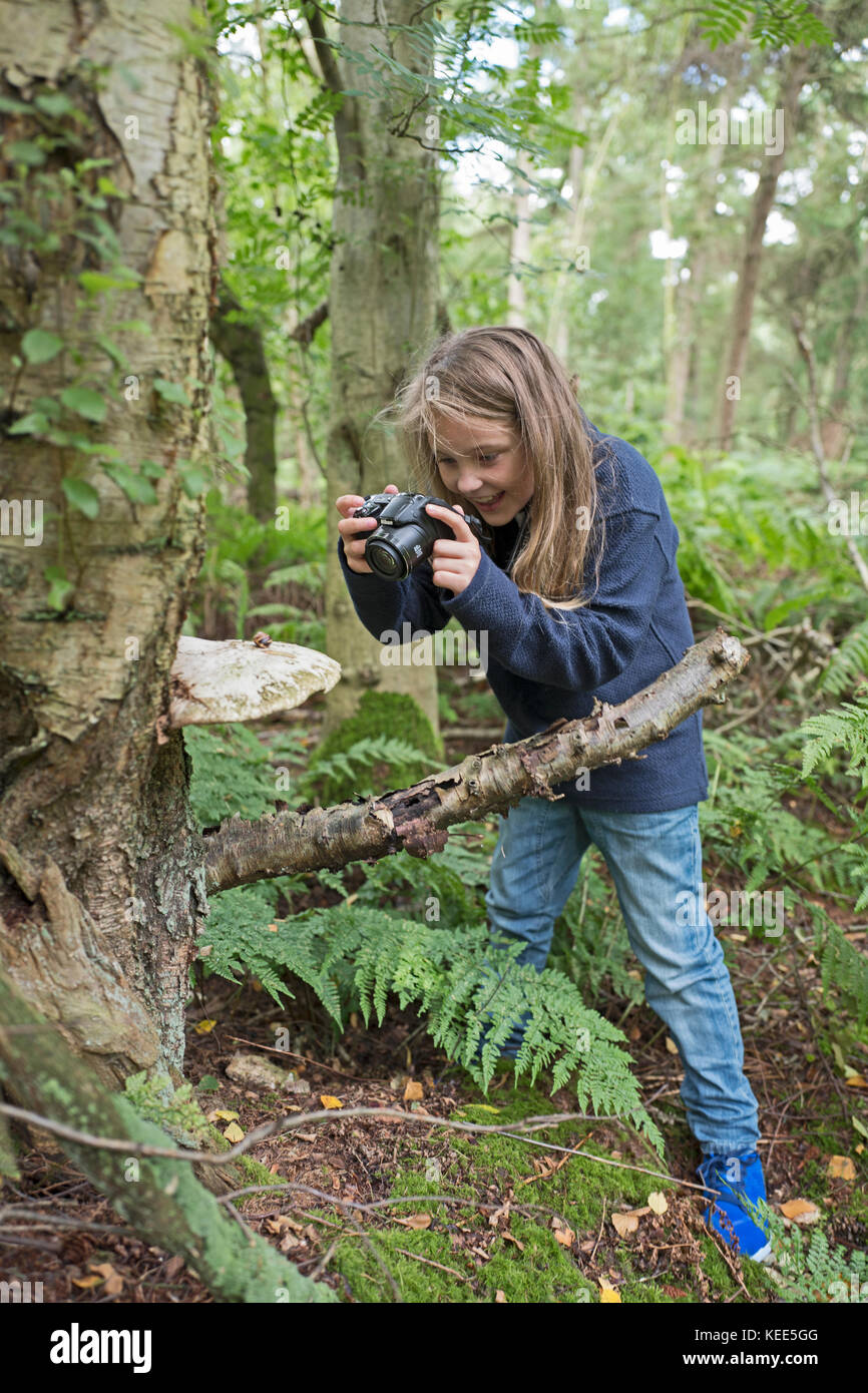 Young girl photographing nature in woodland North Norfolk in summer (model released - Charlotte Tipling) Stock Photo