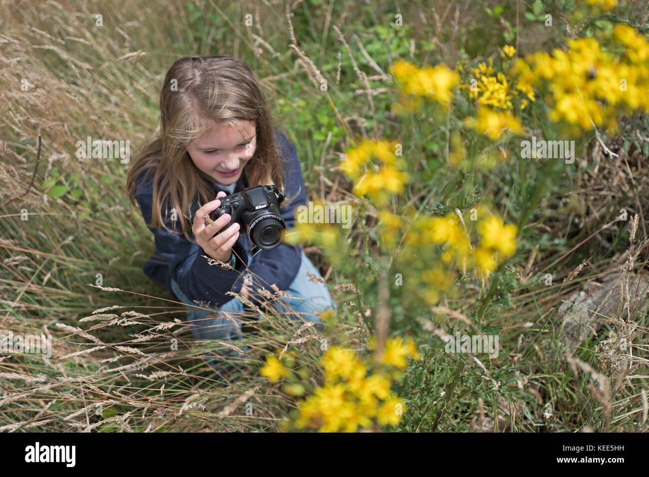 Young girl photographing nature in woodland North Norfolk in summer (model released - Charlotte Tipling) Stock Photo