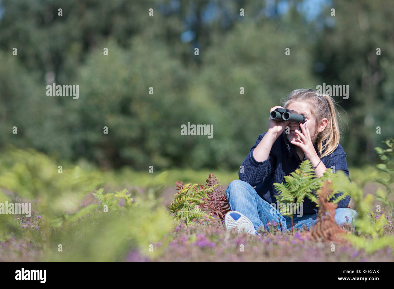 Young girl birdwatching on lowland heath North Norfolk in summer (model released - Charlotte Tipling) Stock Photo