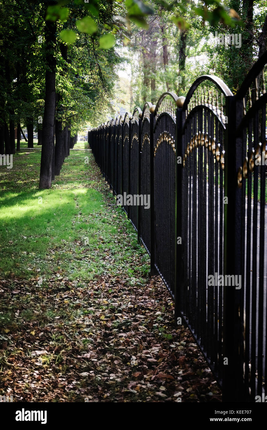 Fence of the city Park, green shady alley of city Park in autumn Stock ...
