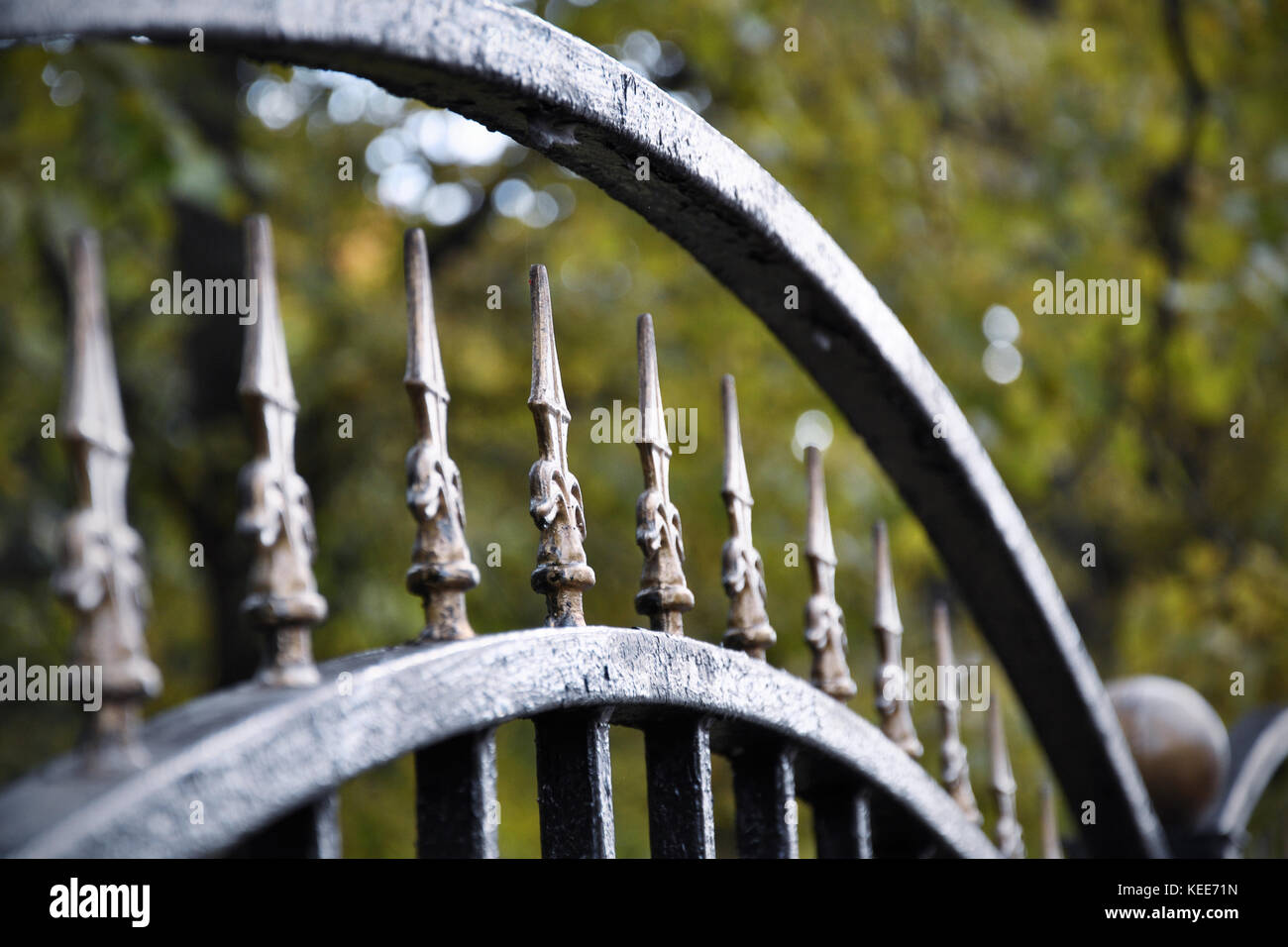Fence of the city Park Stock Photo - Alamy