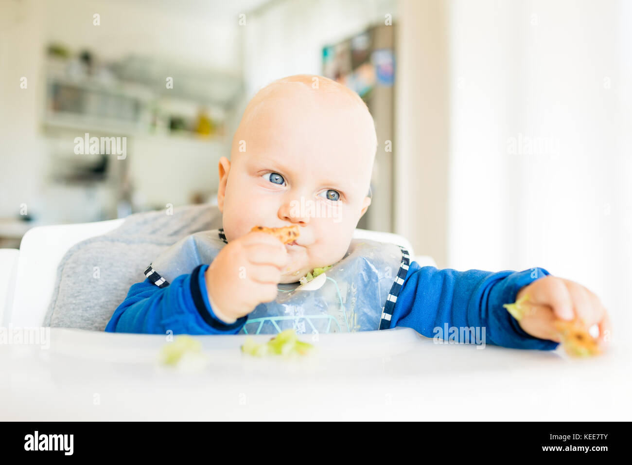 Baby boy eating bread and cucumber with BLW method, baby led weaning. Seriosu vegetarian kid eating lunch. Child eat himself, self-feeding. Stock Photo