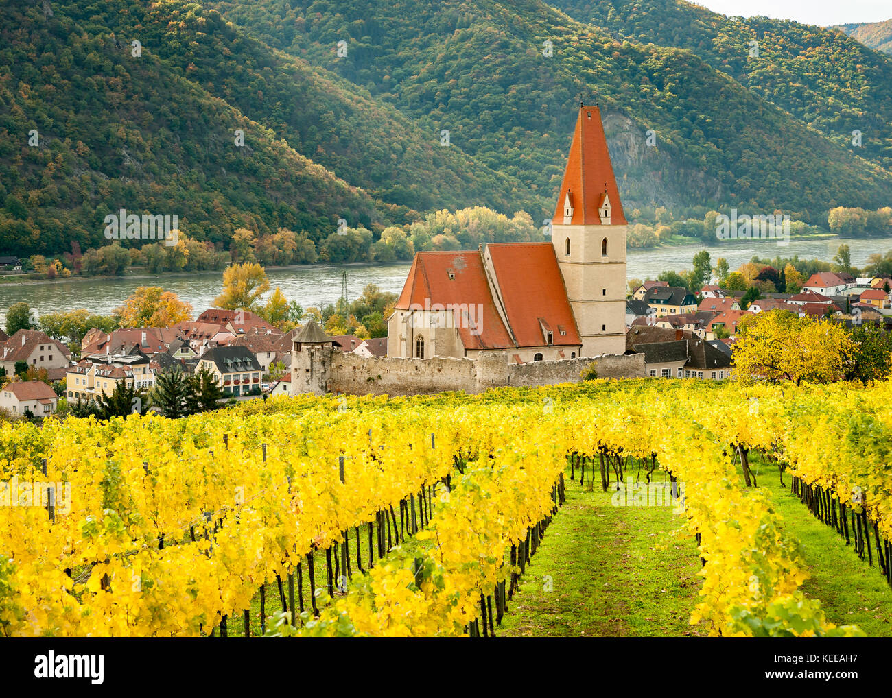 Weissenkirchen Wachau Austria in autumn colored leaves and vineyards on a sunny day Stock Photo