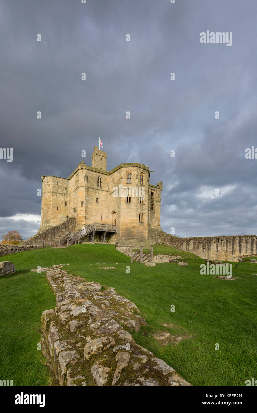 Warkworth Castle in afternoon light, Warkworth, Northumberland, England