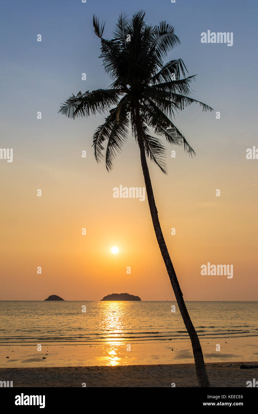 Beautiful sunset palm tree on hi-res stock photography and images - Alamy