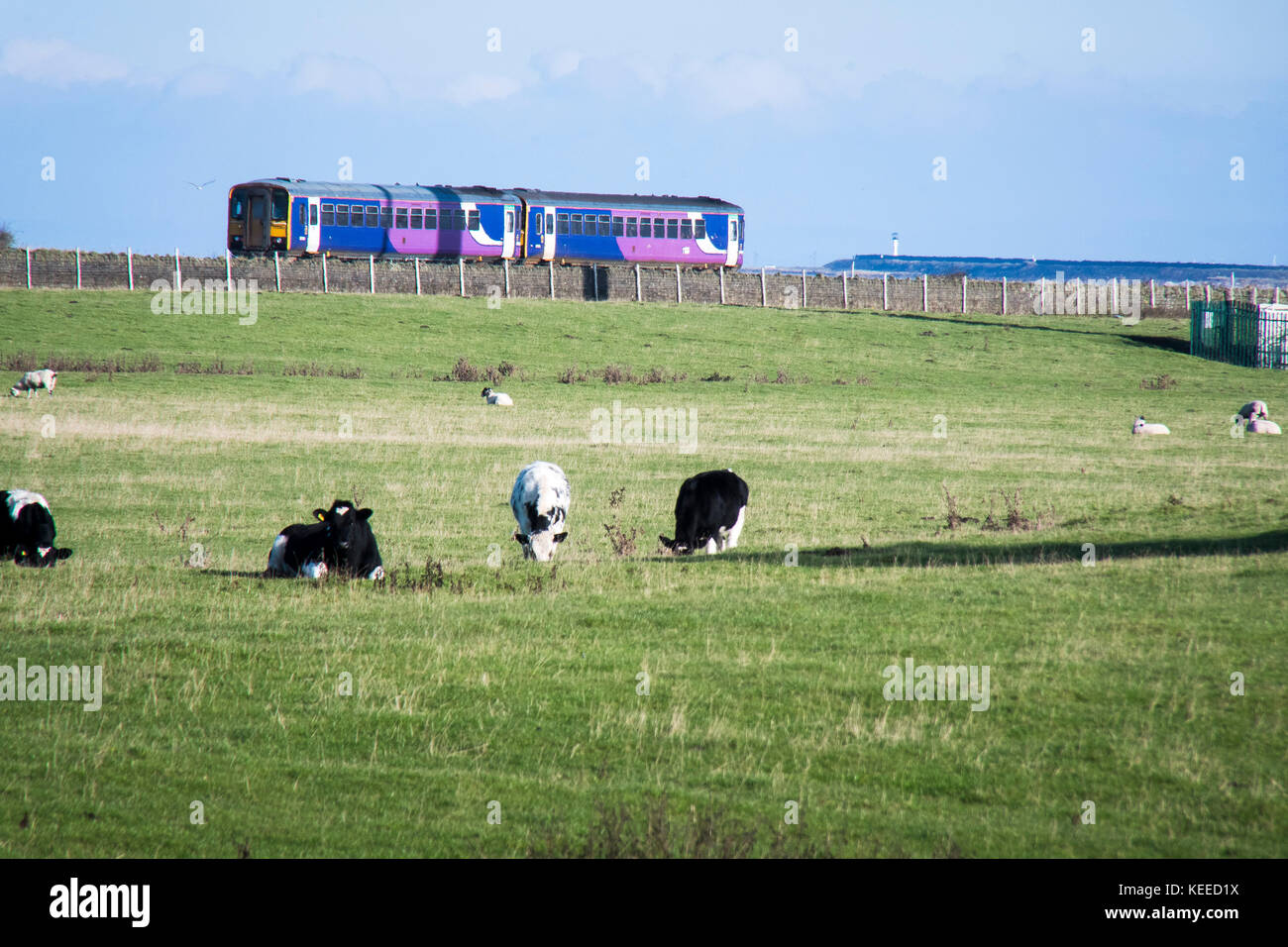Stock Photo - Robin Rigg East and West Wind Farms are the first ...