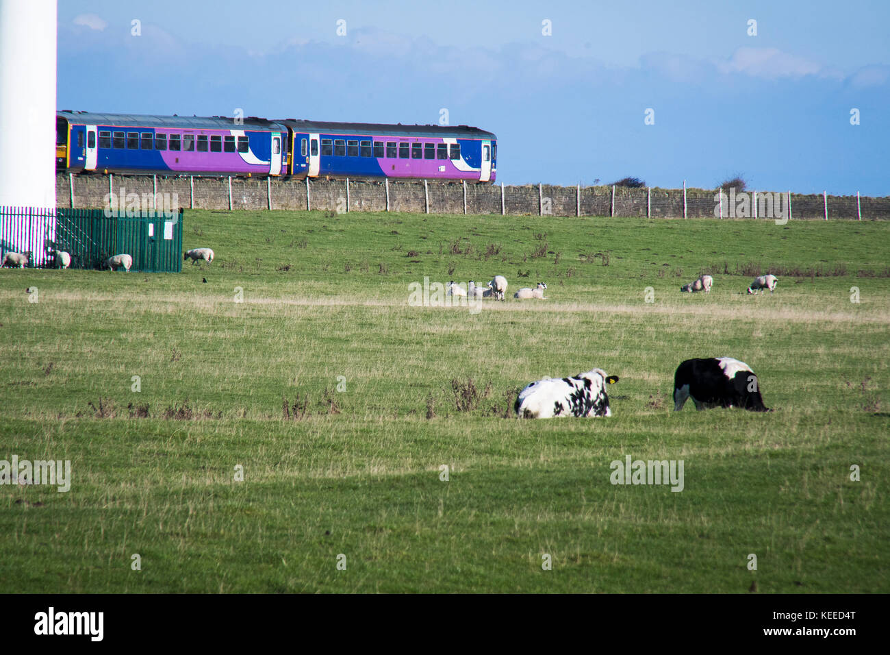 Stock Photo - Robin Rigg East and West Wind Farms are the first ...