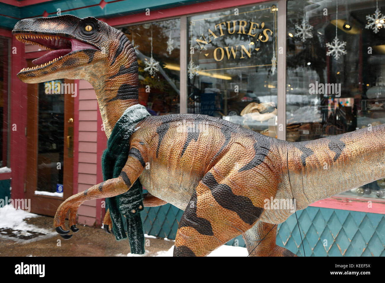 Dinosaur reproduction, Nature's Own (fossil and mineral store), Breckenridge, Colorado USA Stock Photo