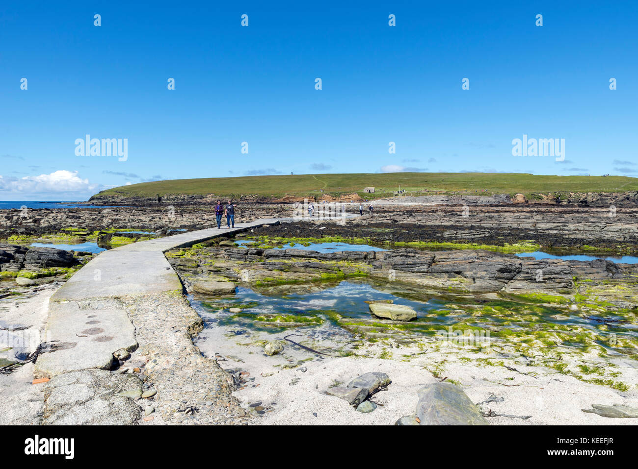 Causeway across to the Brough of Birsay at low tide, Mainland, Orkney, Scotland, UK Stock Photo