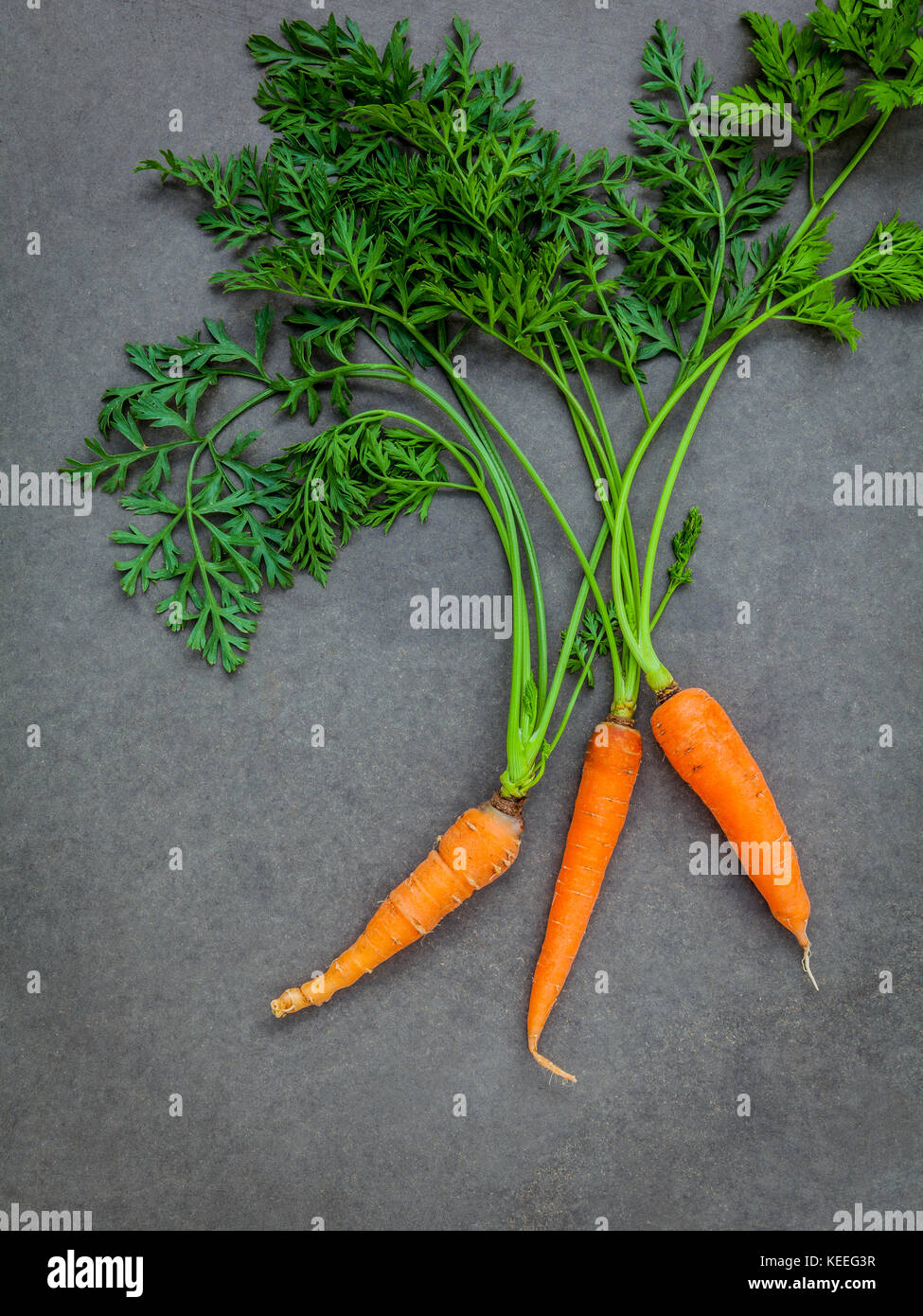 Fresh carrots bunch on dark concrete background. Raw fresh carrots with tails. Fresh organic carrots with leaves. Bunch of fresh carrots with green le Stock Photo