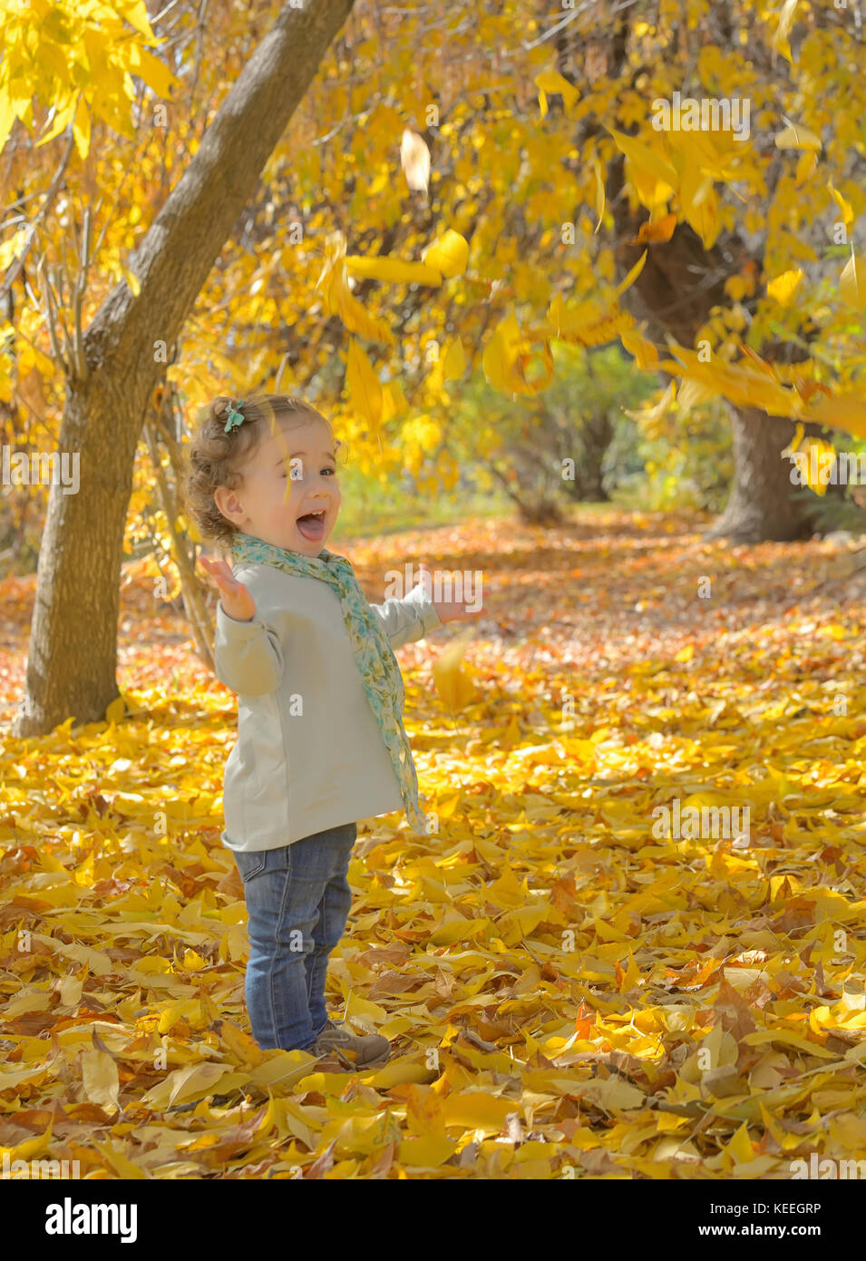Happy little girl in autumn park Stock Photo - Alamy