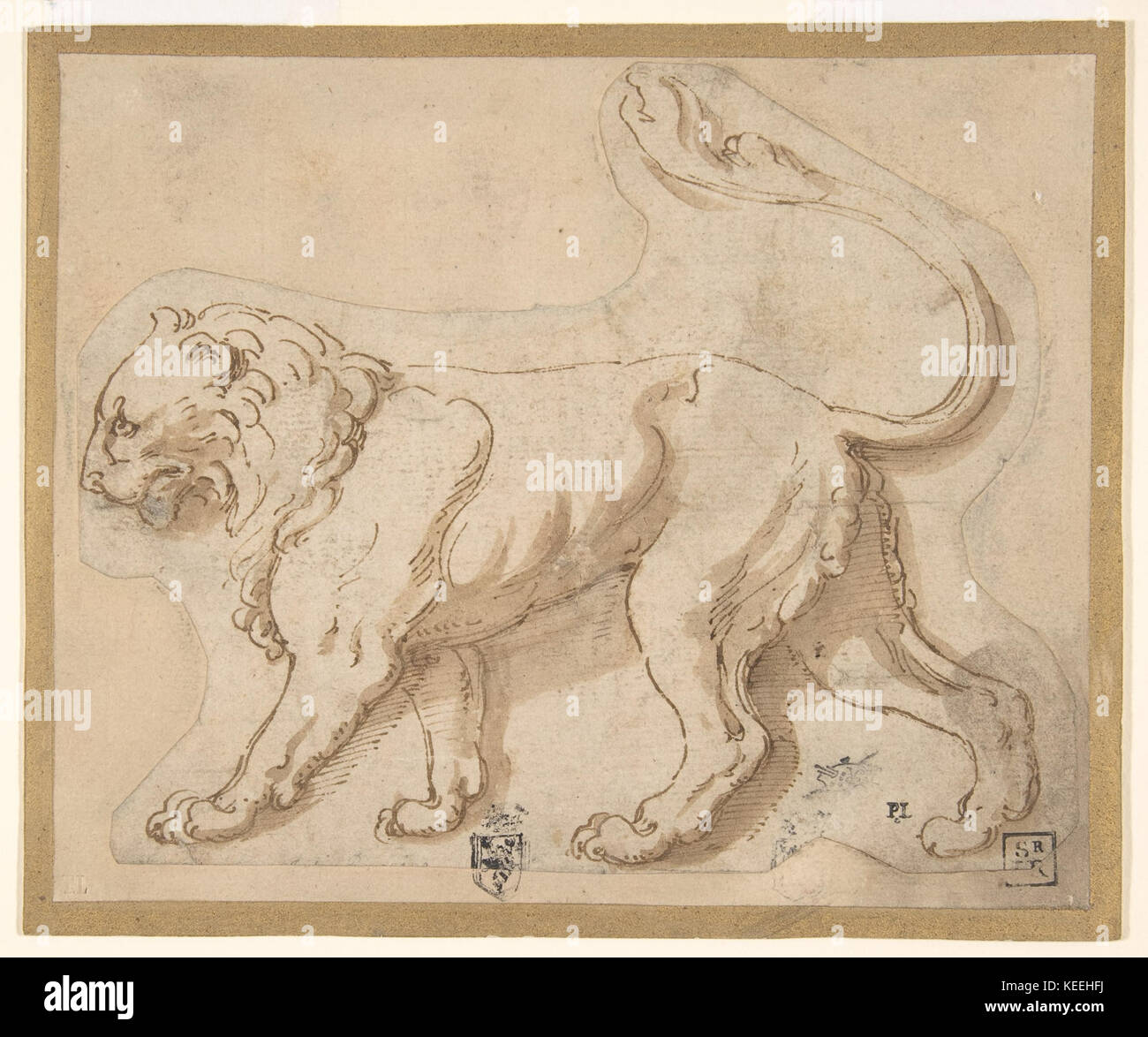 Vintage lion profile hi-res stock photography and images - Alamy