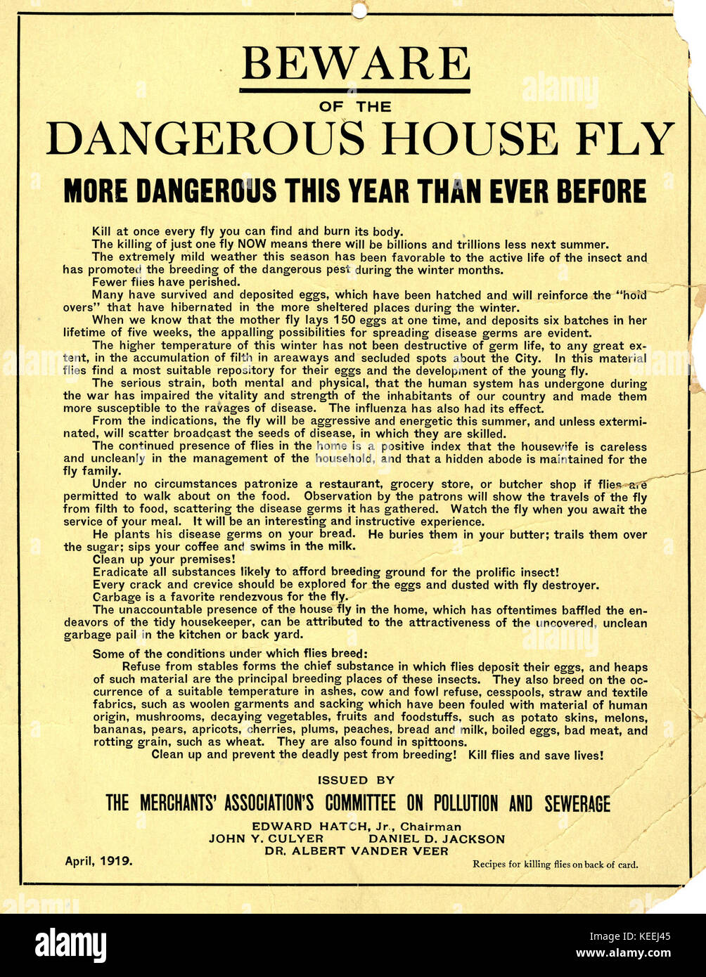 Circular Beware of the Dangerous House Fly, More Dangerous This Year