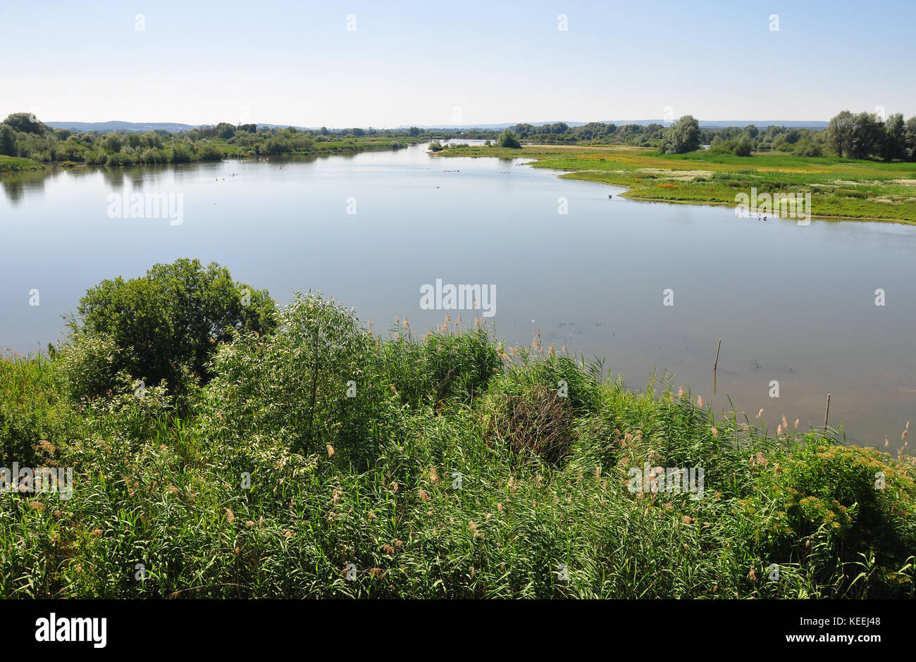 Altmuehlsee in Bavaria Stock Photo - Alamy