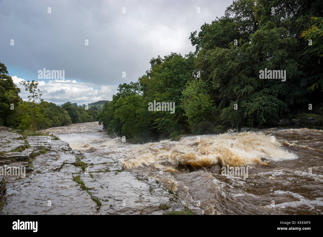 Lower section of Aysgarth falls, North Yorkshire after very heavy rainfall. Stock Photo