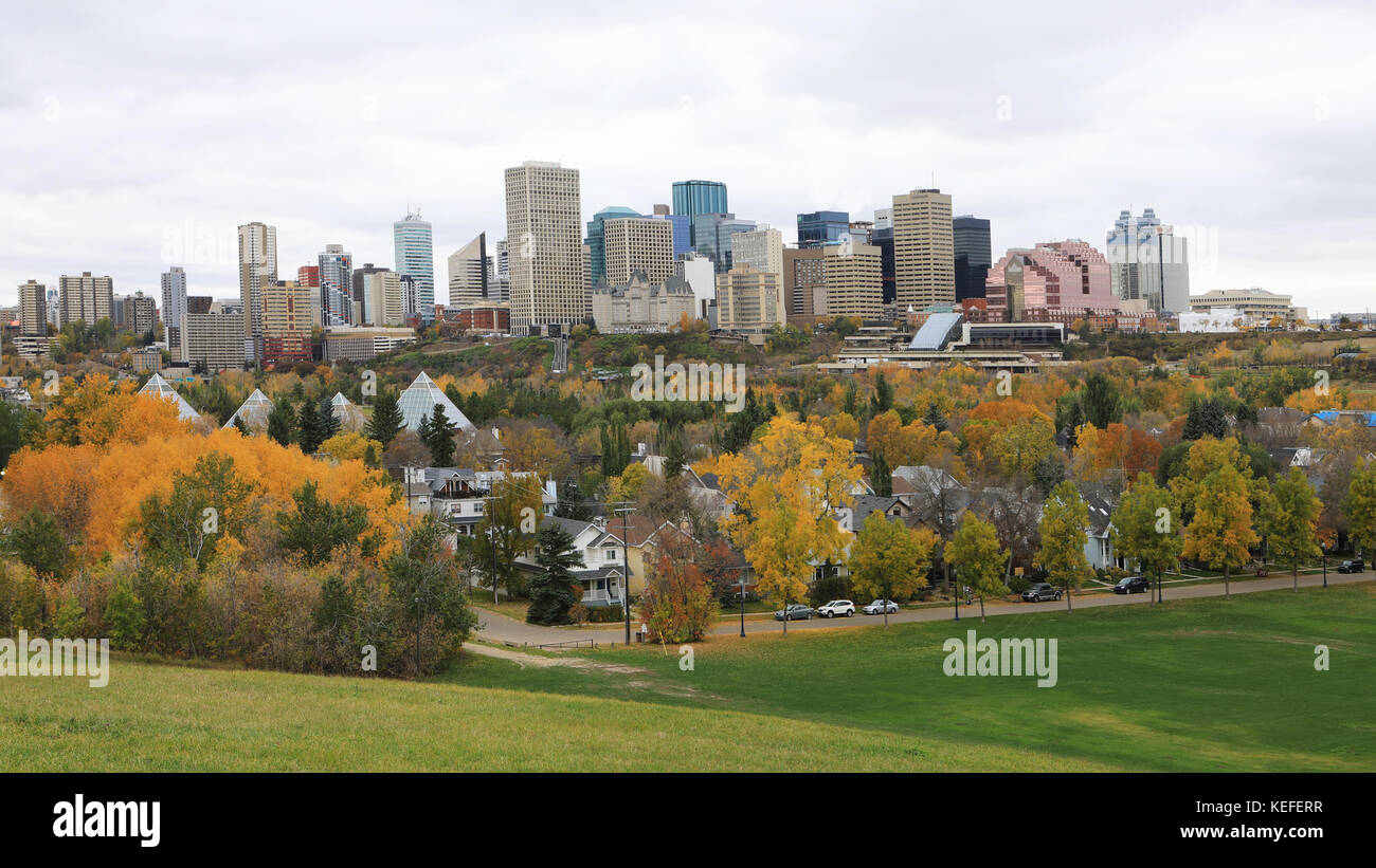 The Edmonton, Canada cityscape with colorful aspen in foreground Stock Photo