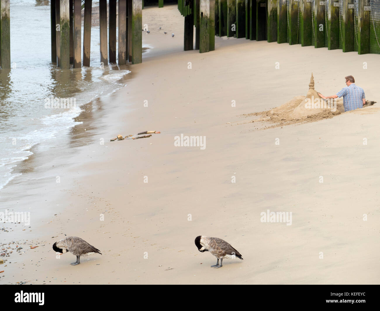 Geese and sand castles by the Thames Embankment, London Stock Photo