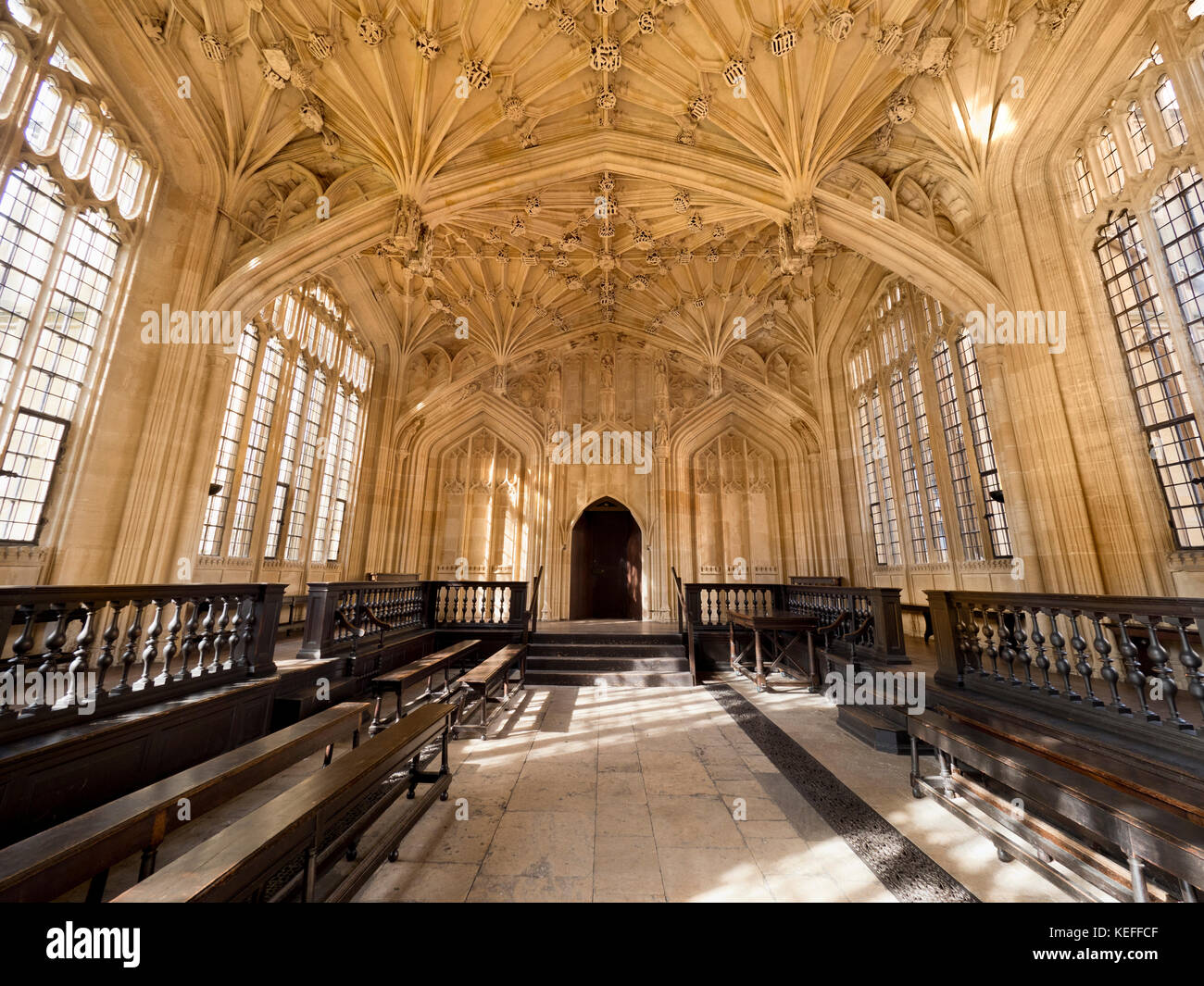 Vaulted Ceiling Of The Divinity School Of The Bodleian