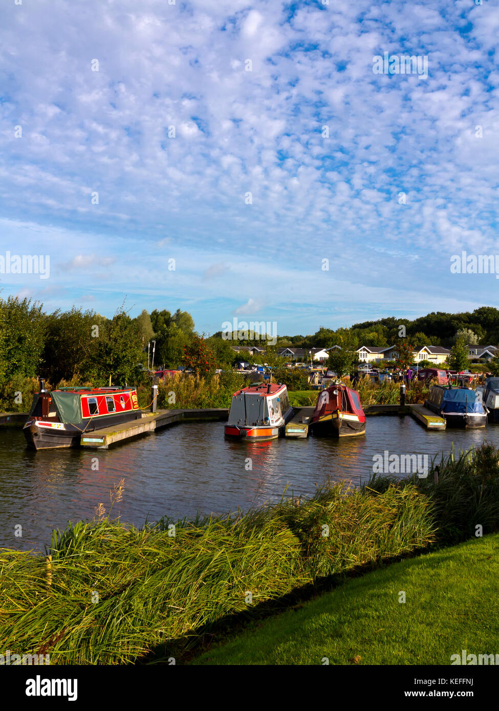 Boats moored at Mercia Marina a large inland marina on the Trent and Mersey Canal near Willington in south Derbyshire England UK Stock Photo