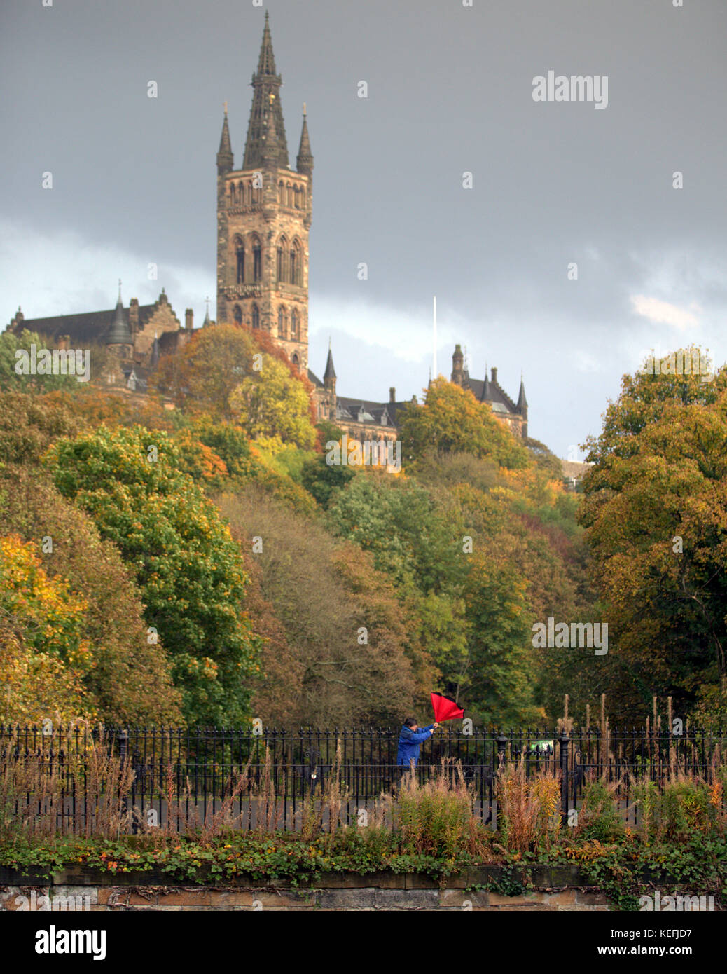 The Met Office issued yellow weather alerts as heavy showers and strong winds from Hurricane Ophelia hits the city at  the University Of Glasgow park Stock Photo