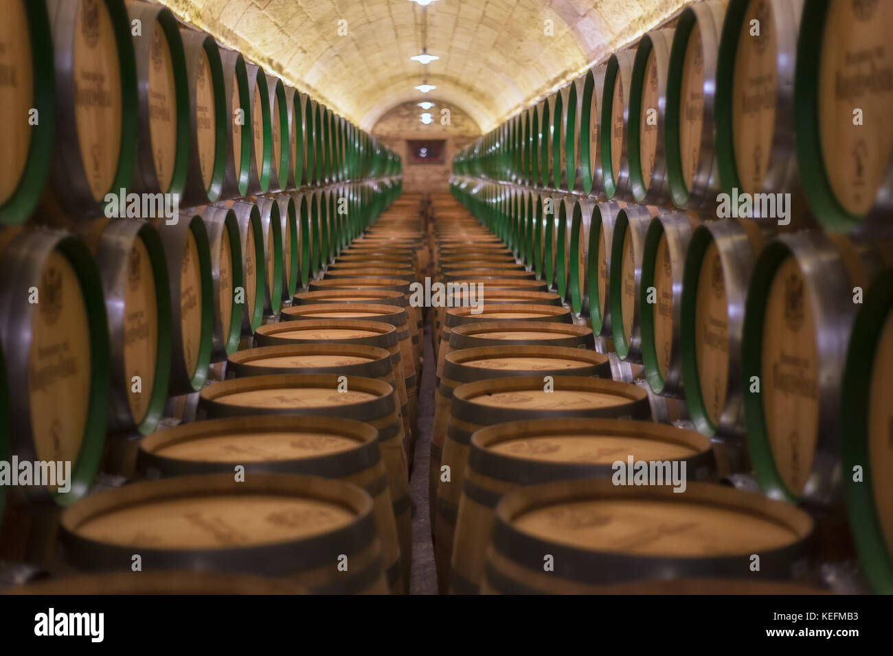 Barrels row in a Rioja winery in Alava Stock Photo