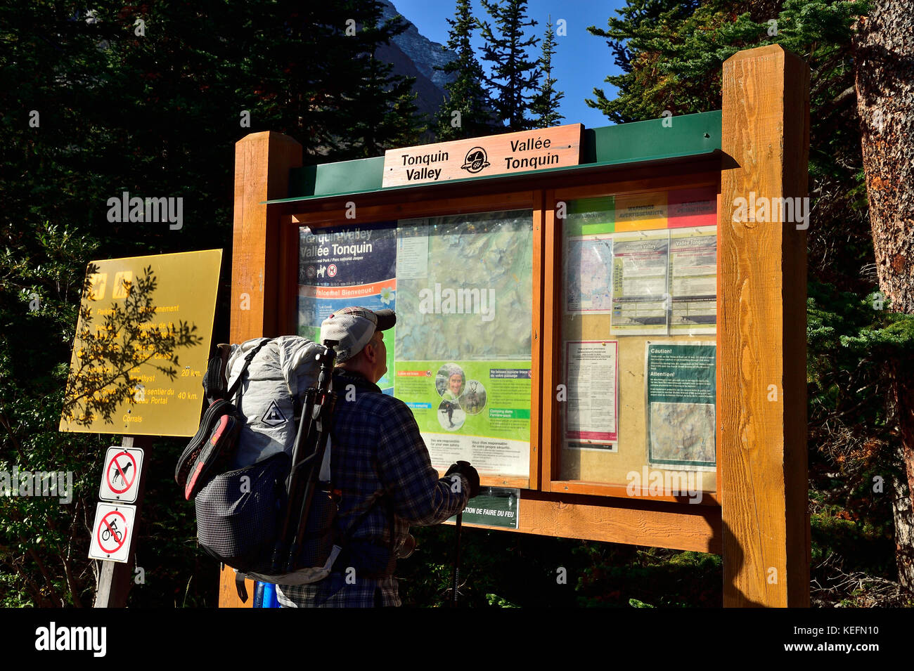 An adult male hiker checking the information map before starting on a hike to the remote Tonquin Valley in Jasper National Park, Alberta, Canada. Stock Photo