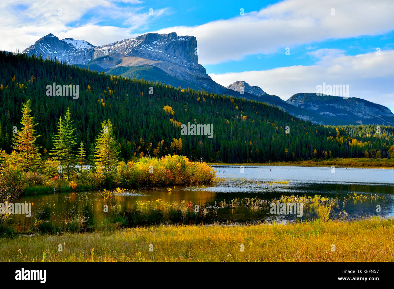Roche miette hires stock photography and images Alamy