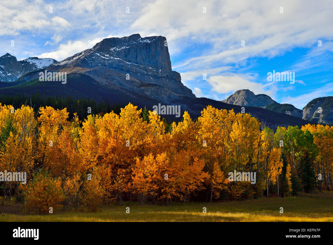 An autumn landscape image of Roche Miette mountain standing tall at the entrance to Jasper National Park, in Alberta Canada. Stock Photo