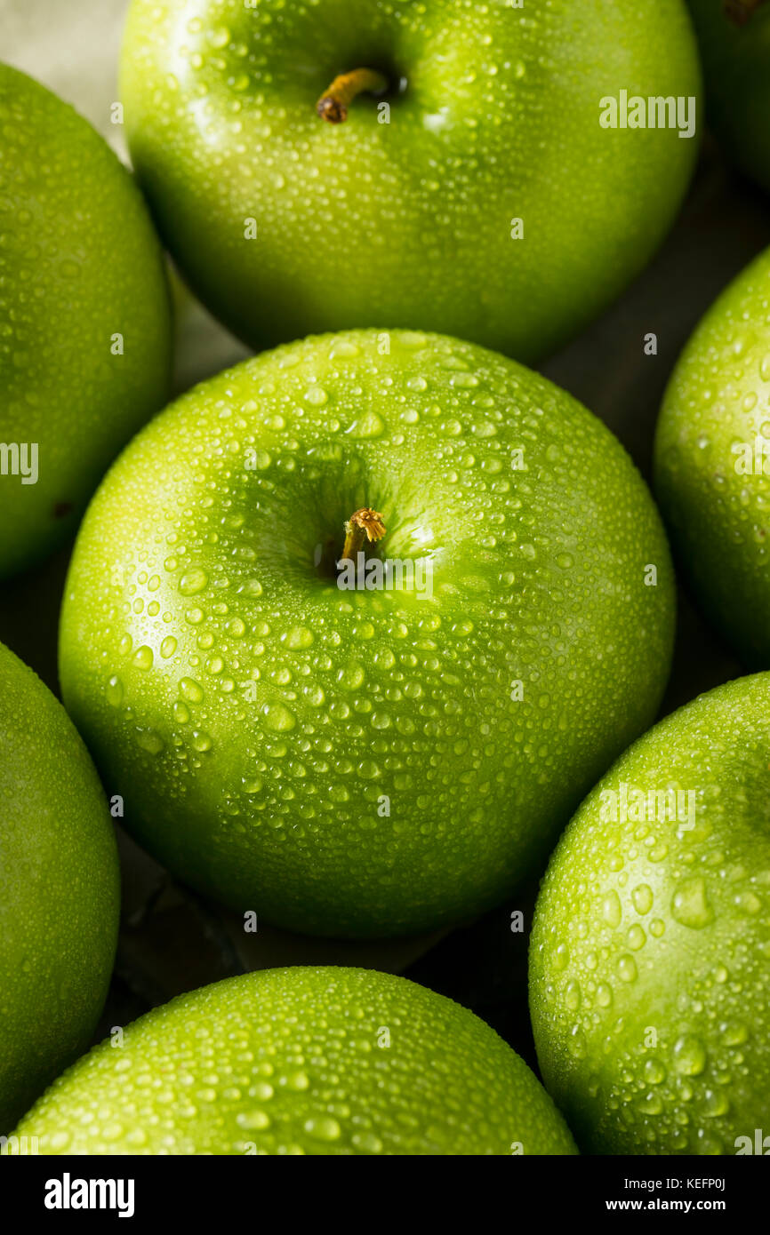 organic juicy green apples. above view Stock Photo by nblxer